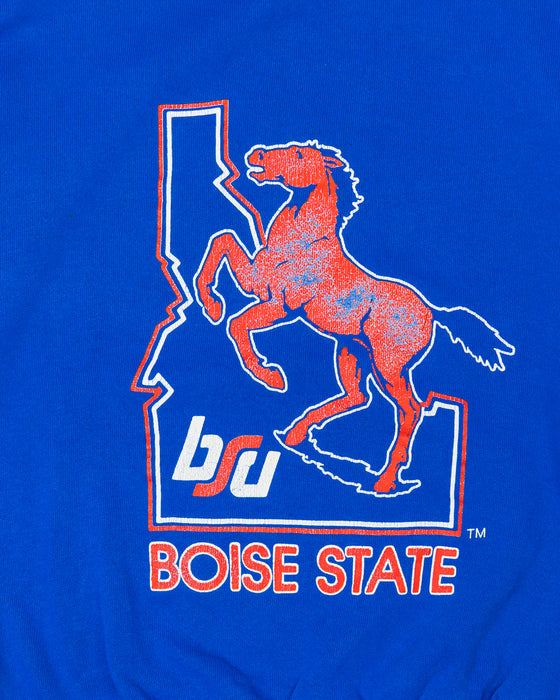 Boise State College Sweater (M)