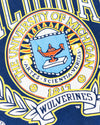 Michigan Wolverines College Sweater (L)
